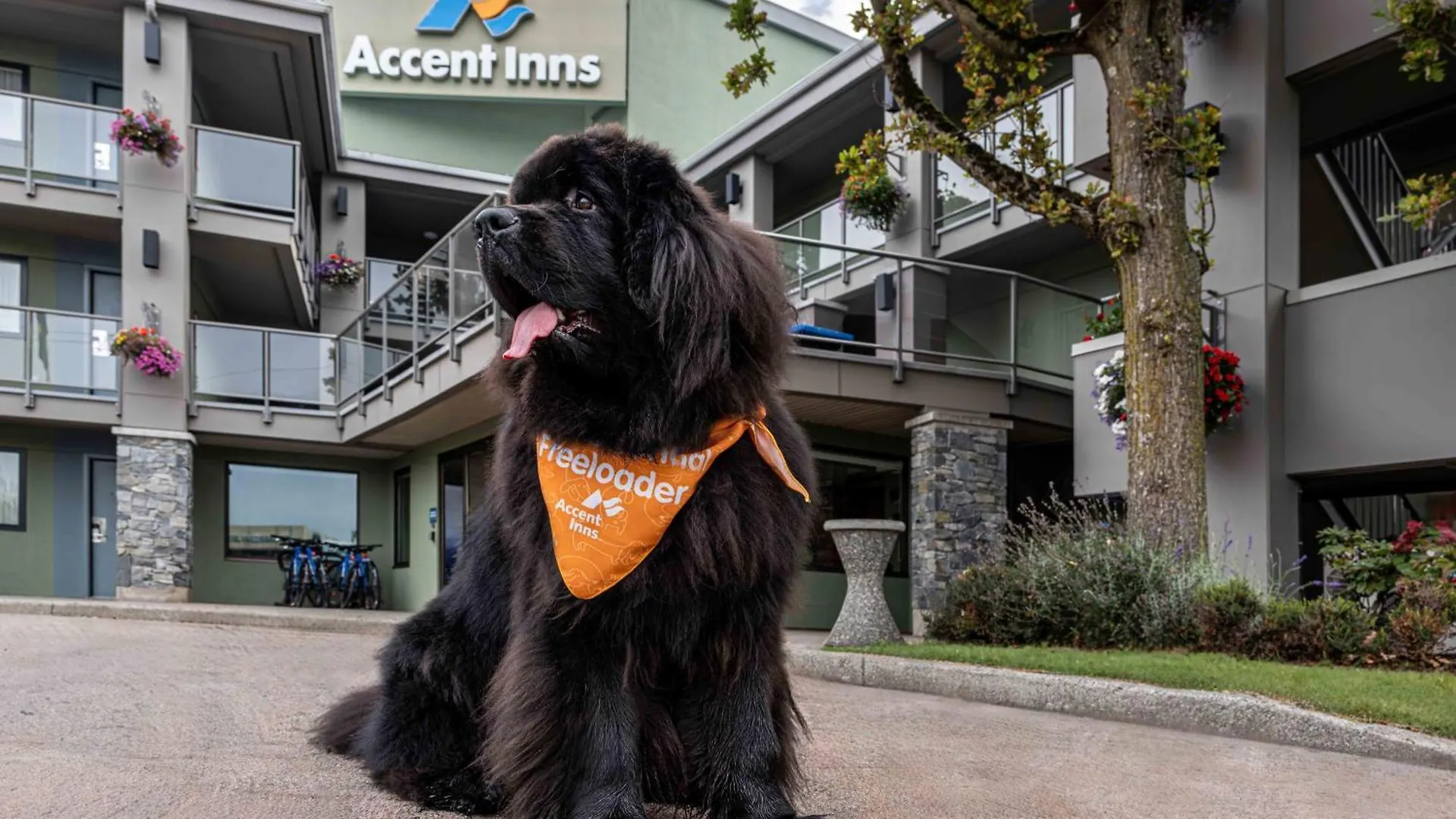 *** Hotel Accent Inns Vancouver Airport Richmond Kanada